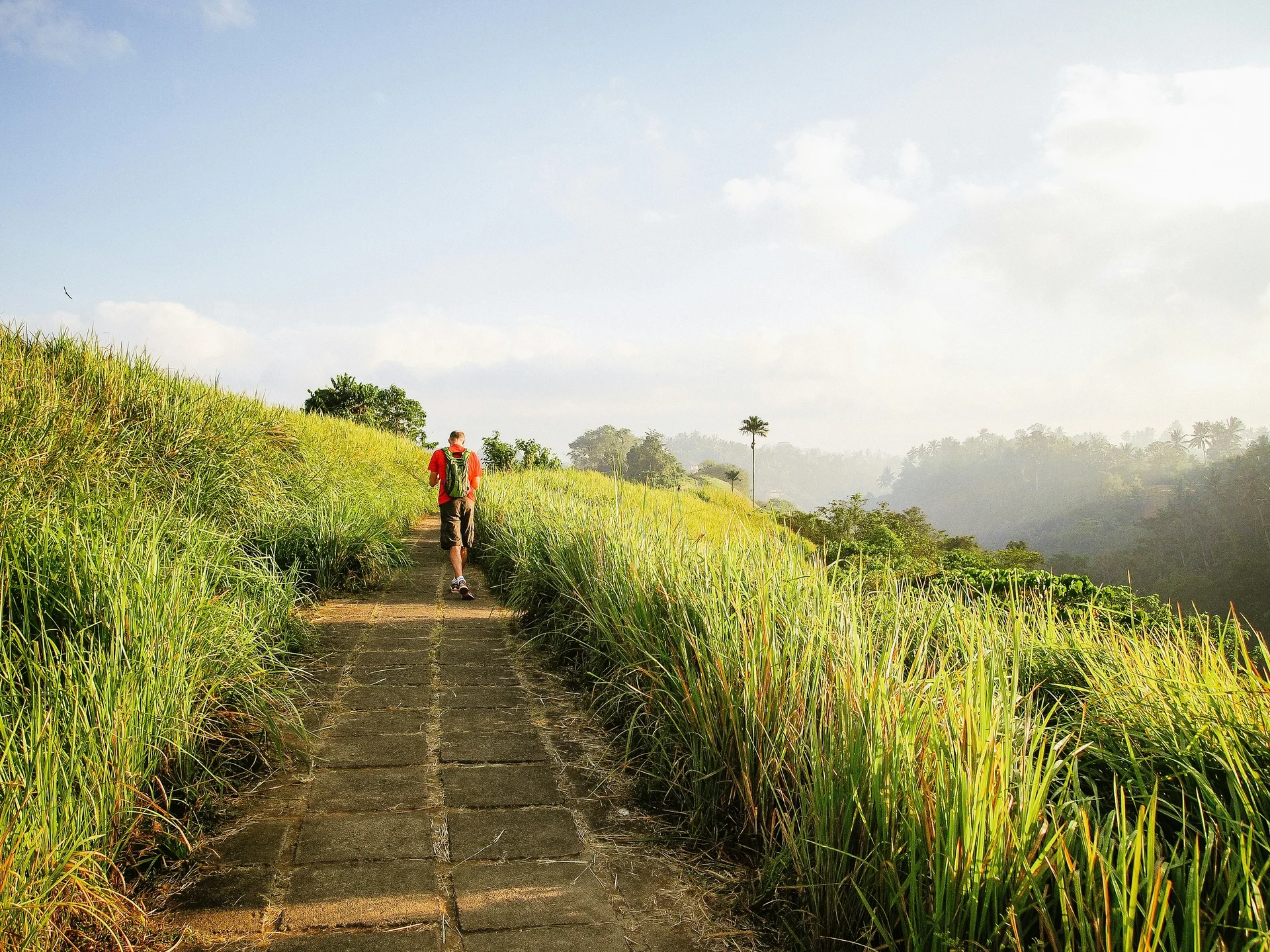 Campuhan Ridge Walk scenic trail in Ubud