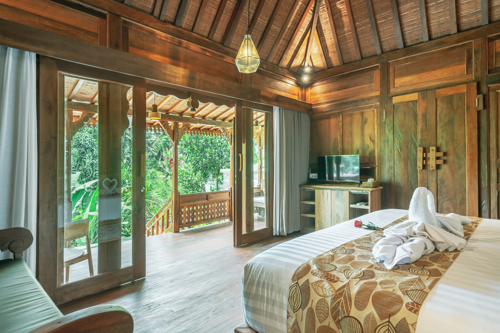 Jungle Canopy View